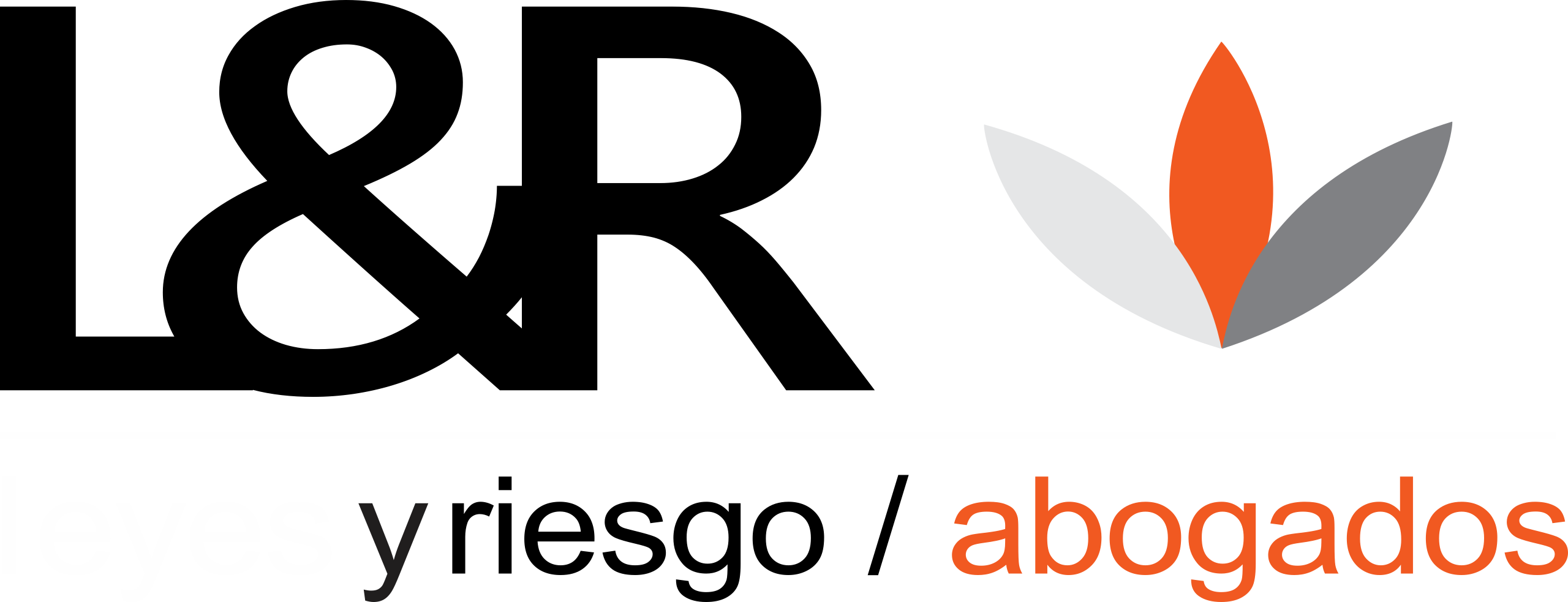 Leyes & Riesgo Abogados | Servicios Jurídicos